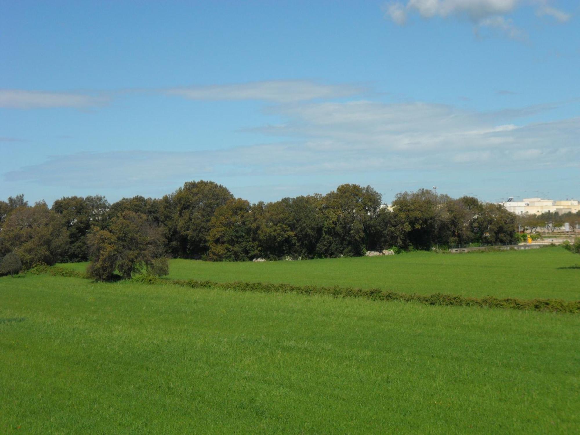 Masseria Gattamora Uggiano La Chiesa Buitenkant foto